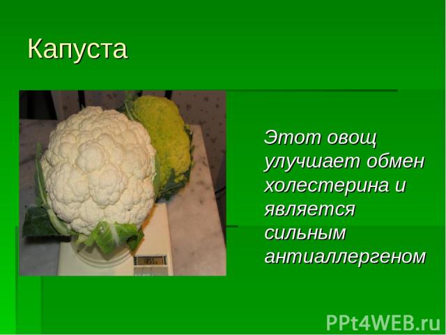 Капуста Этот овощ улучшает обмен холестерина и является сильным антиаллергеном