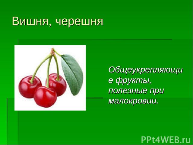 Вишня, черешня Общеукрепляющие фрукты, полезные при малокровии.