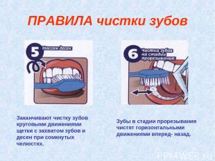 ПРАВИЛА чистки зубов Заканчивают чистку зубов круговыми движениями щетки с захва