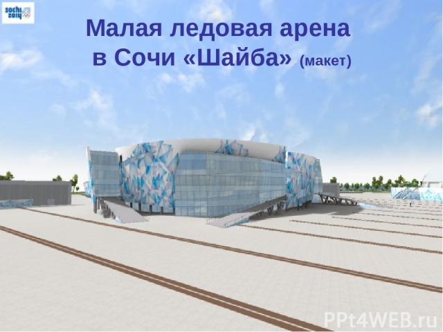 Малая ледовая арена в Сочи «Шайба» (макет)