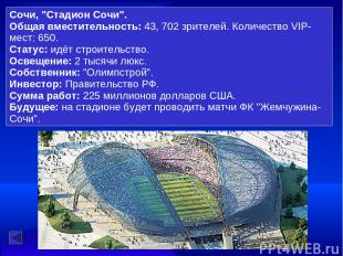 Сочи, "Стадион Сочи". Общая вместительность: 43, 702 зрителей. Количество VIP-ме