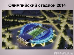 Олимпийский стадион 2014
