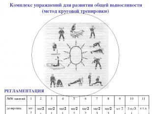 Комплекс упражнений для развития общей выносливости (метод круговой тренировки)