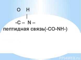 O H ║ | -C – N – пептидная связь(-СО-NH-)