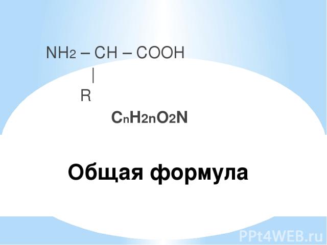 Общая формула NH2 – CH – COOH | R СnH2nO2N