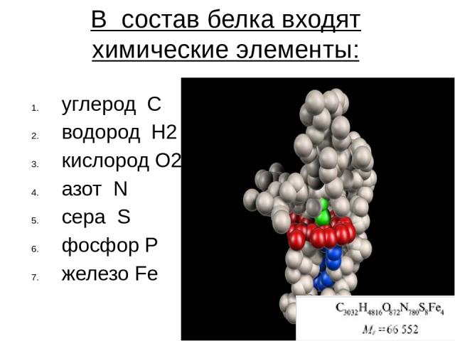 В состав белка входят химические элементы: углерод C водород H2 кислород O2 азот N сера S фосфор P железо Fe Молекулярная формула одного из белков
