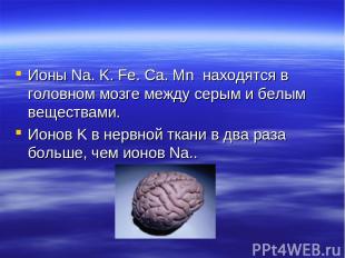 Ионы Na. K. Fe. Ca. Mn находятся в головном мозге между серым и белым веществами