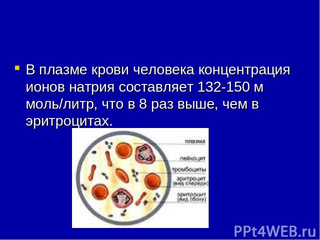 В плазме крови человека концентрация ионов натрия составляет 132-150 м моль/литр, что в 8 раз выше, чем в эритроцитах.