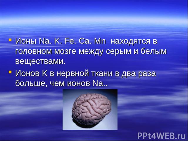 Ионы Na. K. Fe. Ca. Mn находятся в головном мозге между серым и белым веществами. Ионов K в нервной ткани в два раза больше, чем ионов Na..