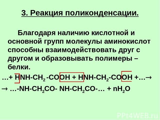 3. Реакция поликонденсации. Благодаря наличию кислотной и основной групп молекулы аминокислот способны взаимодействовать друг с другом и образовывать полимеры – белки. …+ HNH-CH2 -COOH + HNH-CH2-COOH +… …-NH-CH2CO- NH-CH2CO-… + nH2O