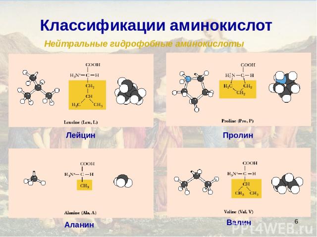 * Классификации аминокислот Нейтральные гидрофобные аминокислоты Аланин Валин Лейцин Пролин