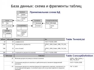 База данных: схема и фрагменты таблиц Table TerminList Table ConceptDefinition П