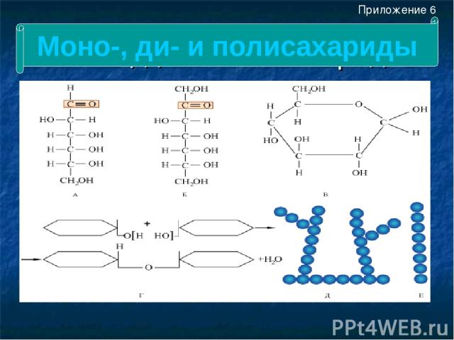Моно-, ди- и полисахариды Моно-, ди- и полисахариды Приложение 6