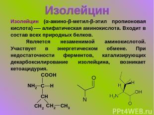 Изолейцин (α-амино-β-метил-β-этил пропионовая кислота) -— алифатическая аминокис