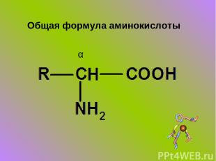 Общая формула аминокислоты α