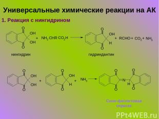 Универсальные химические реакции на АК 1. Реакция с нингидрином + + + + нингидри