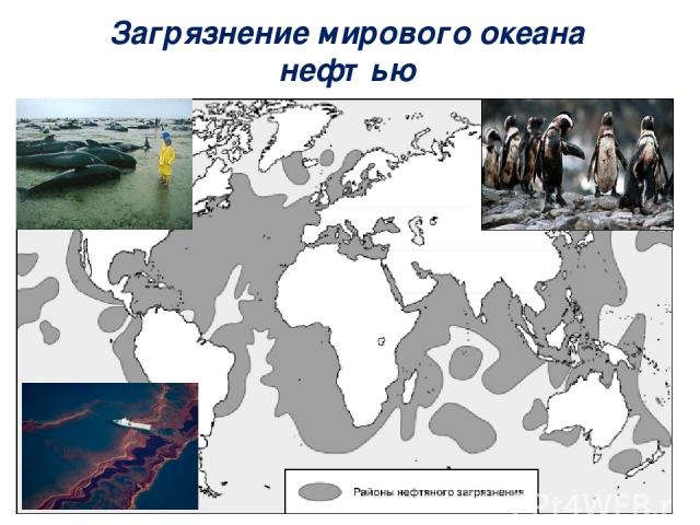 Загрязнение мирового океана нефтью