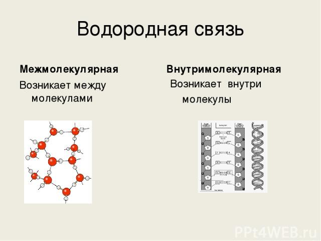 Водородная связь Межмолекулярная Возникает между молекулами Внутримолекулярная Возникает внутри молекулы