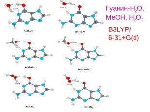 B3LYP/ 6-31+G(d) Гуанин-H2O, MeOH, H2O2