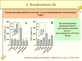 3. Фосфолипаза А2 Высвобождение арахидоновой и докозагексаеновой кислот регулиру