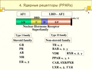 4. Ядерные рецепторы (PPARs) Nuclear Hormone Receptor Superfamily Steroid family