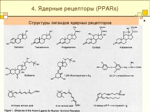 Структуры лигандов ядерных рецепторов 4. Ядерные рецепторы (PPARs)