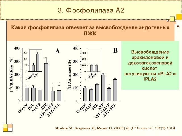 3. Фосфолипаза А2 Высвобождение арахидоновой и докозагексаеновой кислот регулируются cPLA2 и iPLA2 Strokin M, Sergeeva M, Reiser G. (2003) Br J Pharmacol. 139(5):1014 Какая фосфолипаза отвечает за высвобождение эндогенных ПЖК