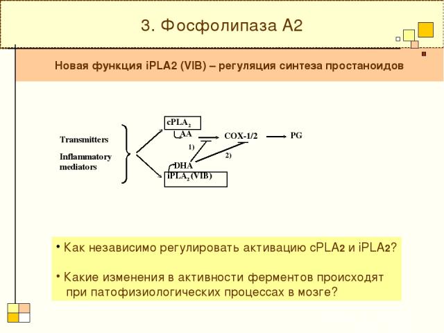 3. Фосфолипаза А2 Новая функция iPLA2 (VIB) – регуляция синтеза простаноидов Как независимо регулировать активацию cPLA2 и iPLA2? Какие изменения в активности ферментов происходят при патофизиологических процессах в мозге?