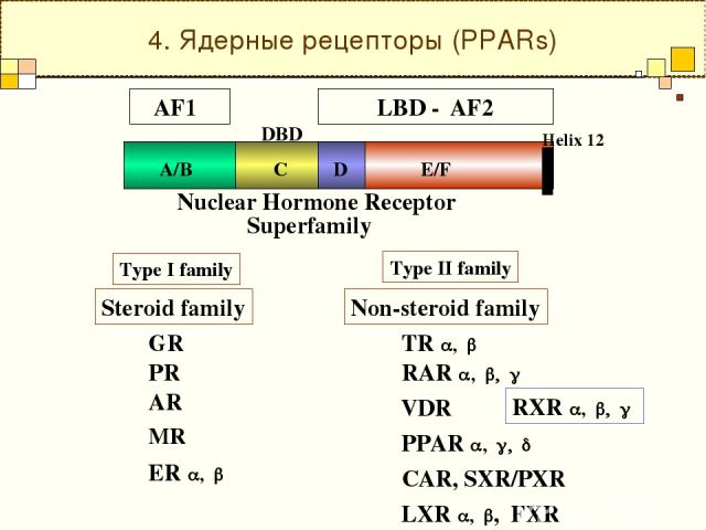 4. Ядерные рецепторы (PPARs) Nuclear Hormone Receptor Superfamily Steroid family Non-steroid family ER a, b GR TR a, b RAR a, b, g PPAR a, g, d VDR RXR a, b, g PR AR Type I family Type II family CAR, SXR/PXR MR LXR a, b, FXR A/B C D E/F DBD Helix 12…