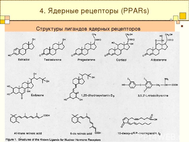 Структуры лигандов ядерных рецепторов 4. Ядерные рецепторы (PPARs)