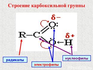 Строение карбоксильной группы радикалы нуклеофилы электрофилы