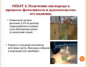 * Поместили водное растение в 5%-й раствор гидрокарбоната натрия (для обогащения