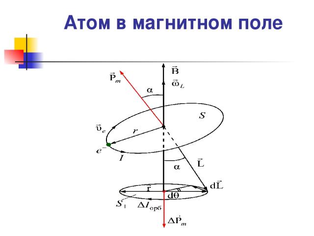 Атом в магнитном поле