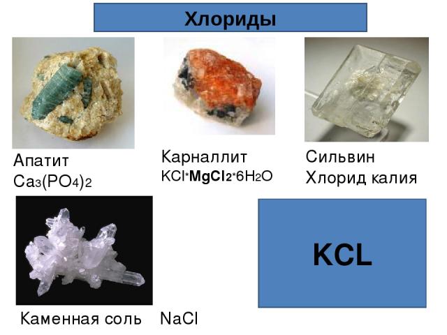 KCL Хлориды Каменная соль NaCl Карналлит KCl*MgCl2*6H2O Апатит Ca3(PO4)2 Сильвин Хлорид калия