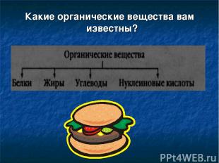 Какие органические вещества вам известны?