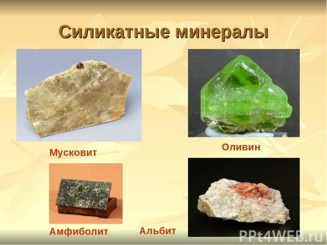 Силикатные минералы Амфиболит Мусковит Оливин Альбит