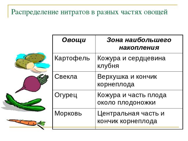Распределение нитратов в разных частях овощей