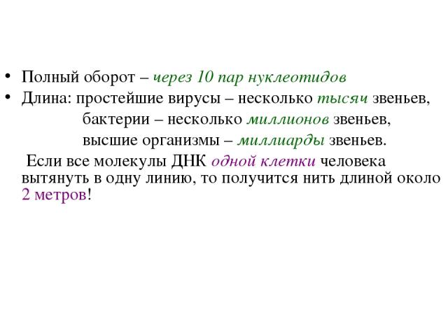 Полный оборот – через 10 пар нуклеотидов Длина: простейшие вирусы – несколько тысяч звеньев, бактерии – несколько миллионов звеньев, высшие организмы – миллиарды звеньев. Если все молекулы ДНК одной клетки человека вытянуть в одну линию, то получитс…