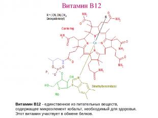 Витамин B12 Витамин B12 - единственное из питательных веществ, содержащее микроэ
