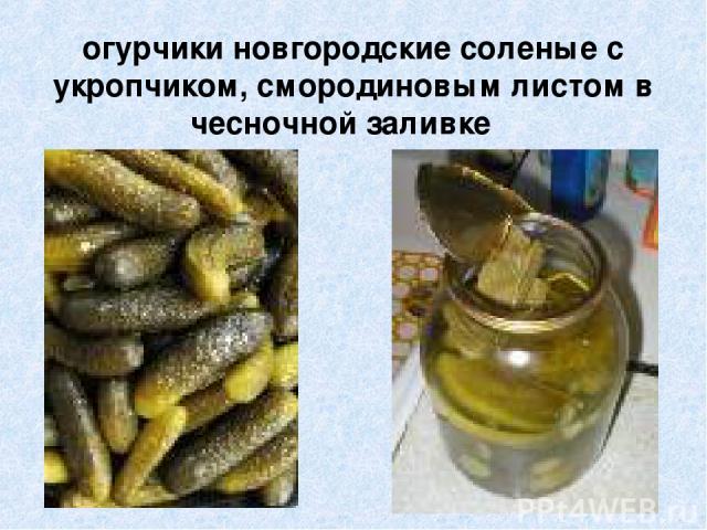 огурчики новгородские соленые с укропчиком, смородиновым листом в чесночной заливке