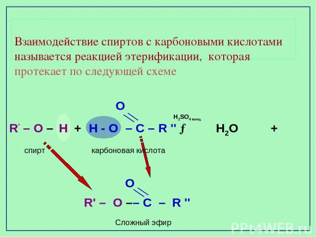Взаимодействие спиртов с карбоновыми кислотами называется реакцией этерификации, которая протекает по следующей схеме O R' – O – + – C – R '' → H - O спирт карбоновая кислота H Н2О + О R' – O –– C – R '' Сложный эфир Н Н - О Н2SO4 конц.