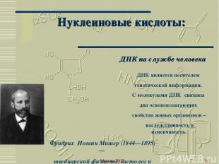Москва 2002 * Нуклеиновые кислоты: ДНК на службе человека Фридрих Иоганн Мишер (