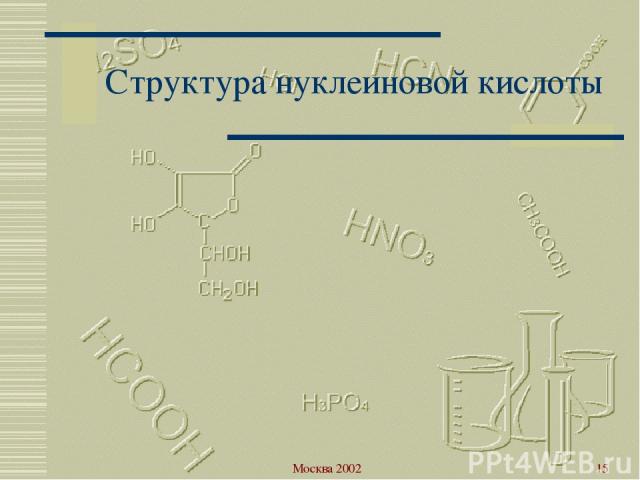 Москва 2002 * Структура нуклеиновой кислоты Москва 2002