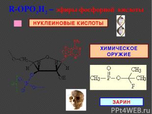 R-ОРO3H2 – эфиры фосфорной кислоты НУКЛЕИНОВЫЕ КИСЛОТЫ ХИМИЧЕСКОЕ ОРУЖИЕ ЗАРИН