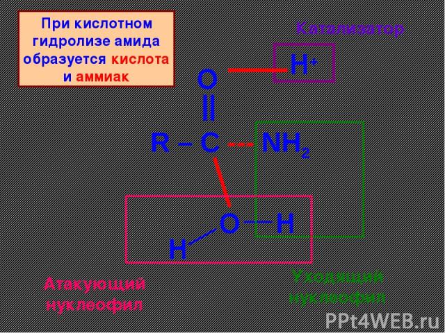 R – C --- NH2 O || O H+ H H Катализатор Уходящий нуклеофил Атакующий нуклеофил При кислотном гидролизе амида образуется кислота и аммиак