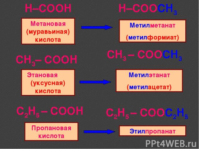 H–COOH  H–COOCH3 CH3– COOH  C2H5 – COOH  CH3 – COOCH3  C2H5 – COOC2H5  Метановая (муравьиная) кислота Метилметанат (метилформиат) Этановая (уксусная) кислота Пропановая кислота Метилэтанат (метилацетат) Этилпропанат