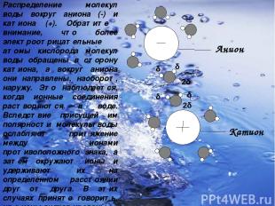 Анион δ⁺ δ⁺ 2δ⁻ Катион δ⁺ δ⁺ 2δ⁻ Распределение молекул воды вокруг аниона (-) и