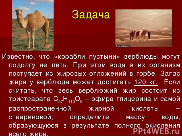 Задача Известно, что «корабли пустыни» верблюды могут подолгу не пить. При этом вода в их организм поступает из жировых отложений в горбе. Запас жира у верблюда может достигать 120 кг. Если считать, что весь верблюжий жир состоит из тристеарата С57Н…