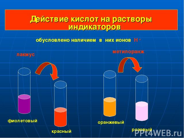 Действие кислот на растворы индикаторов фиолетовый красный оранжевый розовый лакмус метилоранж обусловлено наличием в них ионов Н +