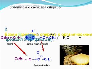 2.Взаимодействие спиртов с органическими кислотами (реакция этерификации): O С2Н